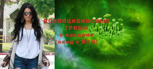 стафф Аркадак